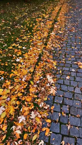 🍂 Love this Autumn 🍂 here!🫰🍁🥰                         #foru #foruyou #foryouu #foryouu #foru 