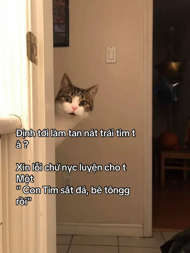 Sời tưởng như nàoooo! #xuhuong #xhhhhhhhhhhhhhhhhhhhhhhh #viral #xhtiktok #xhtiktok 