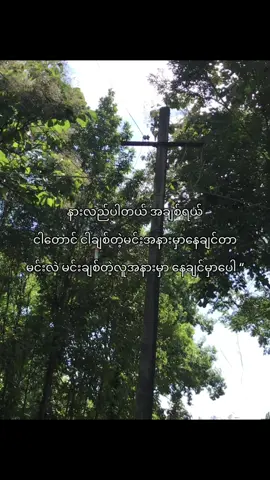 #lyrics #xyzbca #viral #foryou #crd 