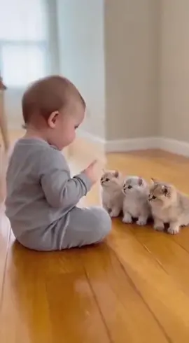 main tembak tembakan 😸