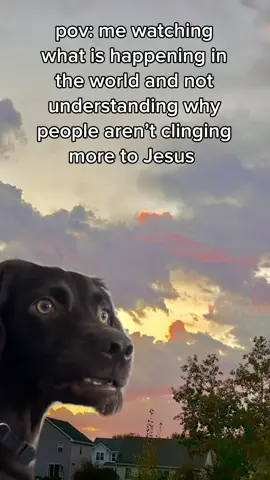 It’s a hot mess out there. But Jesus is a safe place. Cling to Him. #christiantiktok #funny #saved #seekJesus 