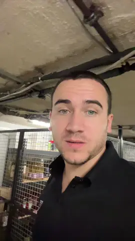 #romania🇷🇴 #moldova🇲🇩 #germania #trucuri 