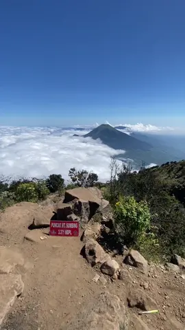 Kalian kapan kesinii#sumbingmountain #sumbingviagajahmungkur #sumbing3371mdpl @akamsi gunung Sumbing 