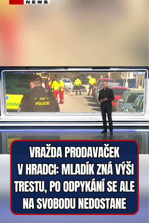 Za dvojnásobnou vraždu prodavaček v Hradci Králové v pátek krajský soud potrestal nyní sedmnáctiletého mladíka devítiletým vězením. Zároveň mu nařídil zabezpečovací detenci. Soudní znalci u něj zjistili sexuální deviaci agresivní sadismus. Poškozeným musí zaplatit celkem 19 milionů korun. Obžalovaný vyslechl rozsudek bez emocí. Jako mladistvému mu hrozilo maximálně deset let vězení. Rozsudek není pravomocný, strany si nechaly lhůtu na odvolání.
