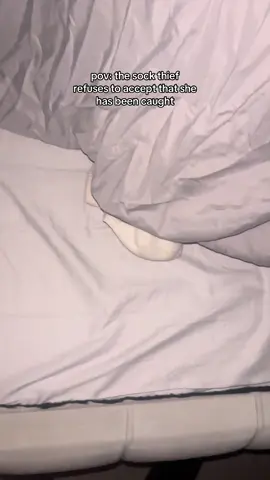 literally wouldn’t let go #dachshund #dog #puppy #funny 