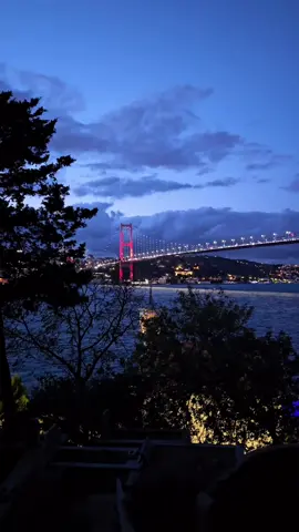 Operation ❤️ <br> <br> <br> <br> <br> <br> <br> <br> <br> <br> <br> <br> <br> <br> <br> < br> <br> <br> <br> <br> <br> <br> < br> <br> <br> <br> <br> <br> <br> <br> <br> <br> <br> <br> <br> <br> <br> <br> <br> <br> <h id=