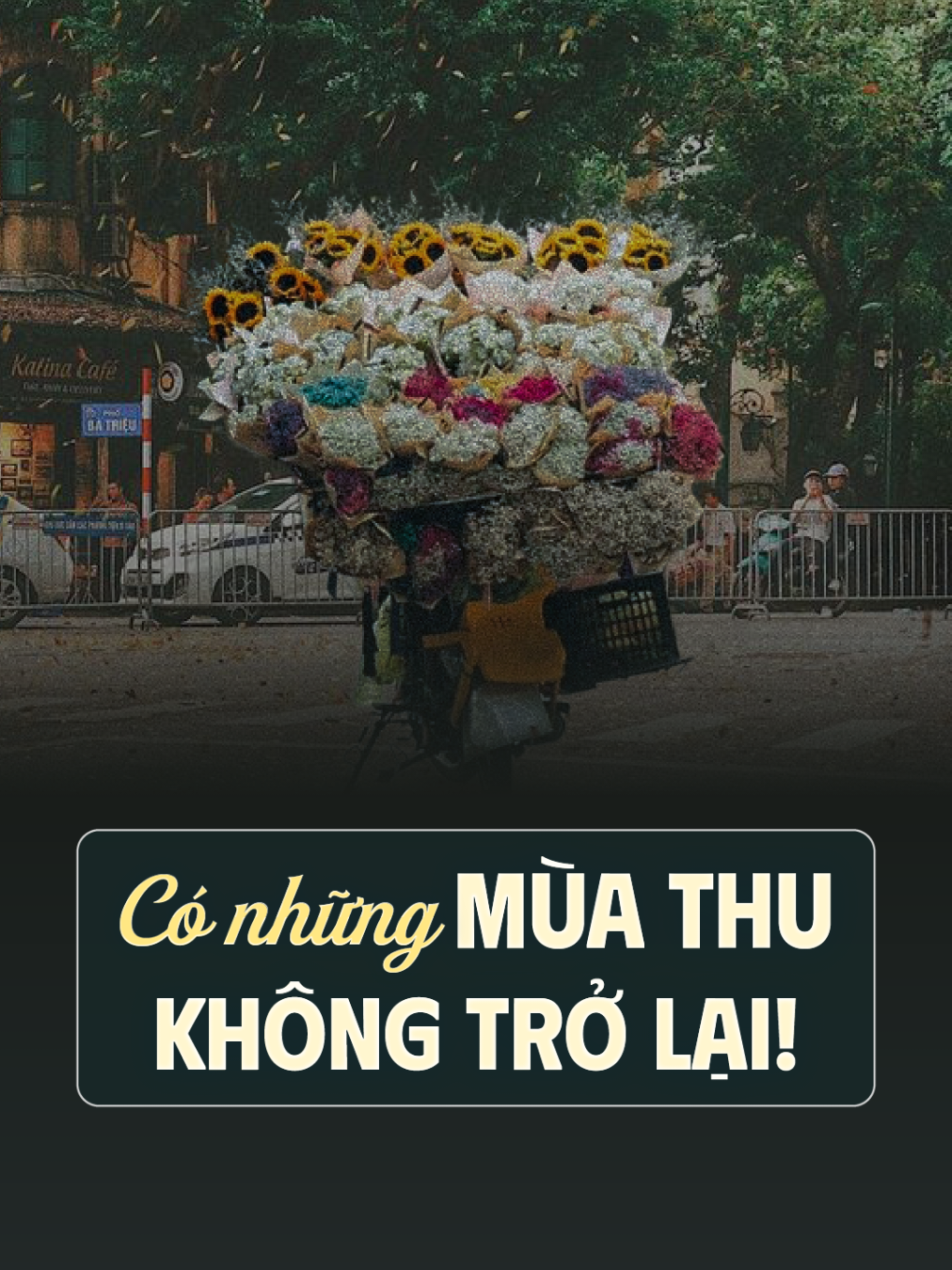 Những mùa thu không trở lại! #radio #podcast #daicatset #nguyendinhtoan 