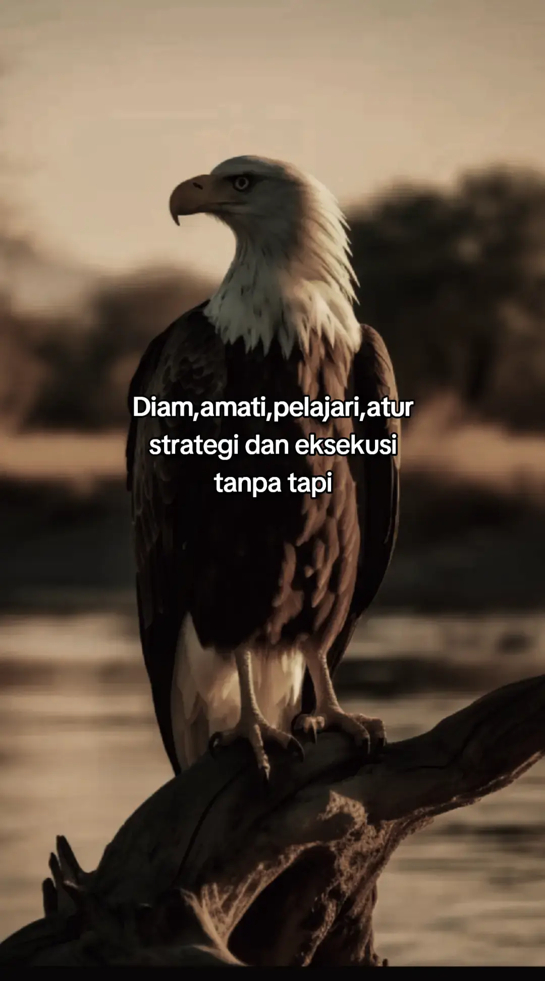 🫵🫵 #🔥 #pppppppppppppppp 