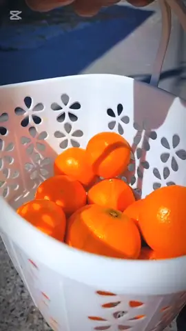 #meda and clever game bvuto