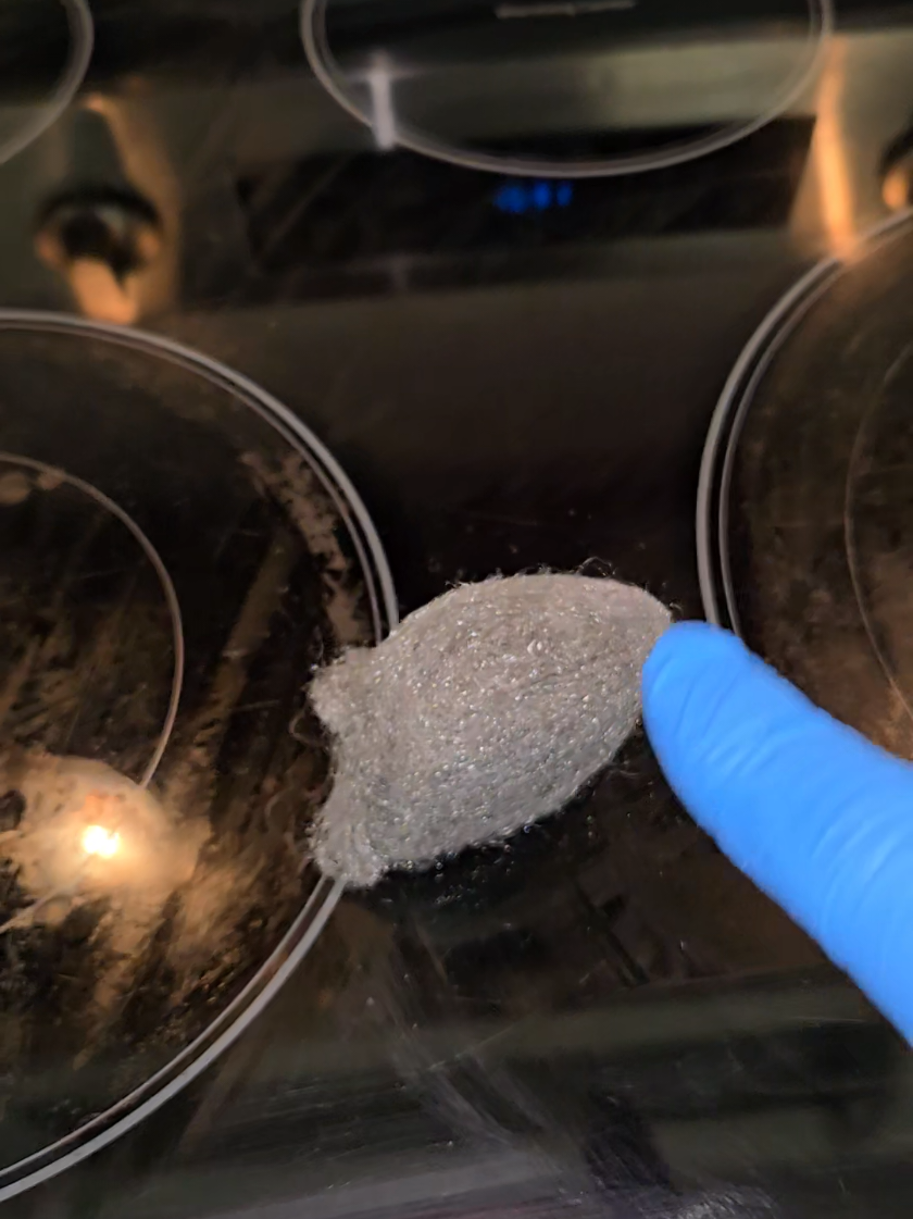 Big Cleaning Chemical doesnt want you to know this