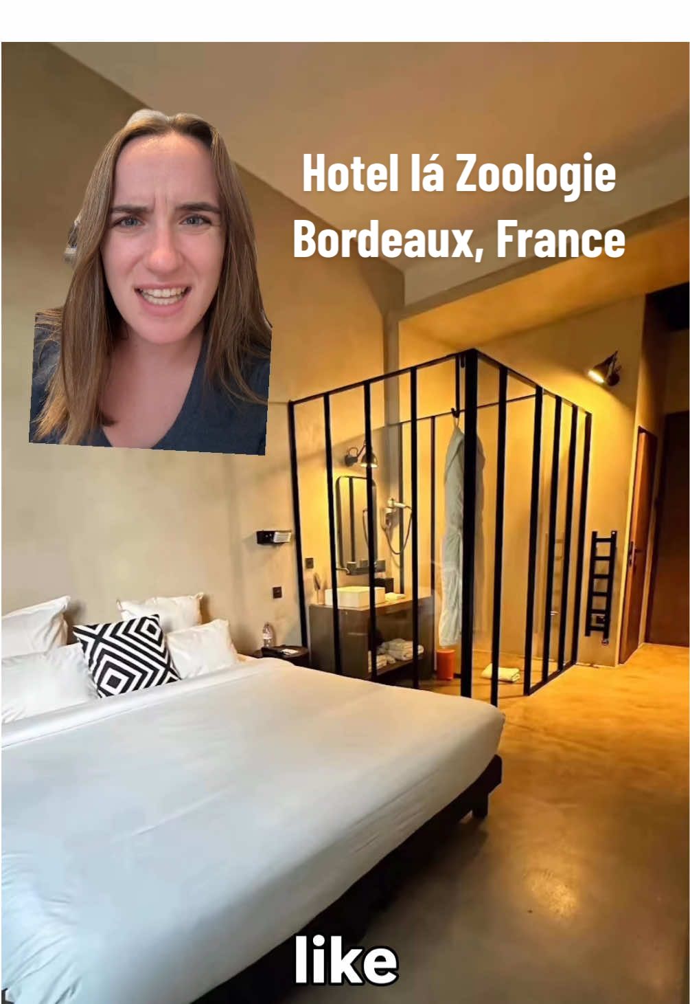 Hotel name ⬇️ Hotel La Zoologie, Bordeaux, France This one genuinely blew my mind. Like what do you mean the shower is in a glass cage? I’m sure some couple will love staying here, but what about literally anyone else who might travel together?  The one redeeming quality is the toilet is by itself and enclosed. But still! Hotels need to stop acting like the only people who stay at them are couples.  Visit bringbackdoors.com to find hotels that are guaranteed to have doors so you don’t end up as the exhibit in your next hotel.  Hotel submitted by @bartender_katie  #travel #bathrooms #hotel #fyp   Bathroom design | hotel design | bad design | travel story | travel flaw | bad hotel | travel story | travel | hotel recs | hotel stays | funny travel story 