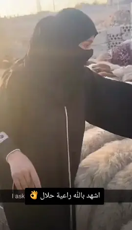 #الكايد #