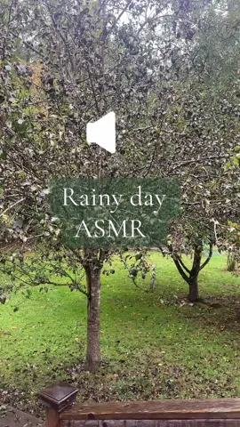 Volume up for relaxing rain #asmr this Friday morning #pnw #sound #rain #rainasmr 