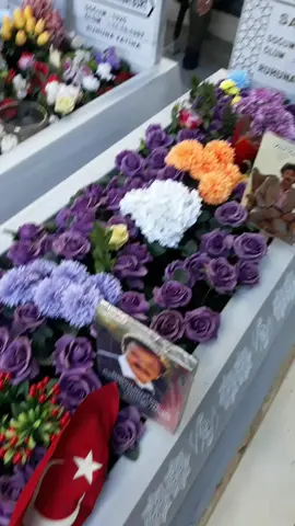 Bilemesin Ferdi Tayfur diyeli sen aşkı sevgiyi aynen öyle 🌹🌹🌹🌹🌹🌹🌹🌹🇹🇷🇹🇷🇹🇷🇹🇷👍👍👍