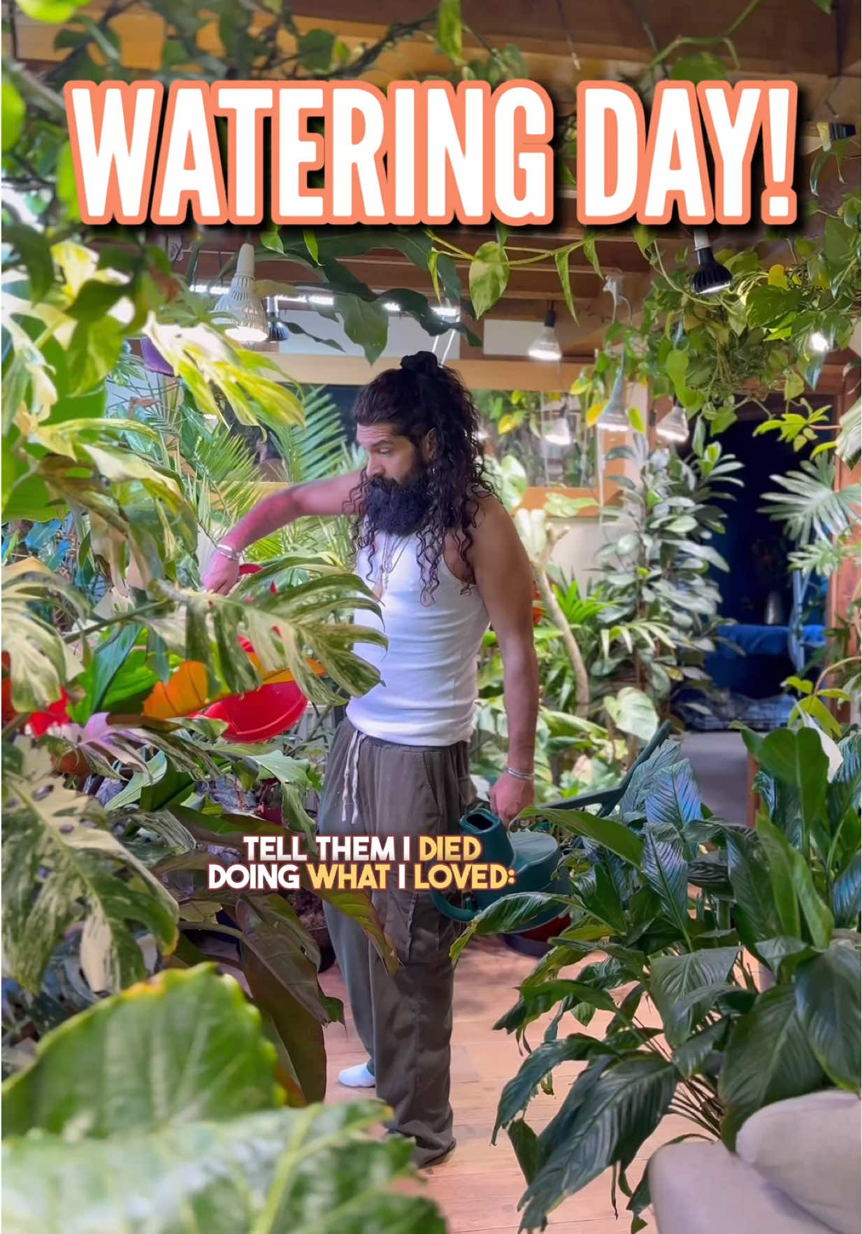 Watering day! Every time I do it, I swear I won’t make a mess. Every time… I lie. The floor’s soaked, the cat’s judging, Charlotte’s questioning everything and yet somehow, this chaos still grows into calm. Because I’ve done this a thousand times. Built two jungles from nothing but stubborn love and empty watering cans. I’ve underwatered, overthought, and still… they thrive. So yeah, it’s messy. But it’s magic.  And if you’ve ever wondered whether you can keep yours alive… trust me, you can. It’s all in my book: “You’re Overwatering It.” link in bio. https://lnk.to/YoureOverwateringItBook  One love, tiny phone people. ❤️🪴🫡 #TheBeardedPlantaholic #PlantTok #HouseplantHumour #PlantReel #IndoorJungle      