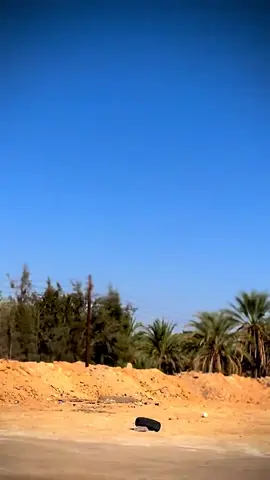 #فيرنا_شعار_لايعرف_القانون🗡🔥  #طرابلس #الجزائر🇩🇿 #تونس🇹🇳  #الشعب_الصيني_ماله_حل😂😂 