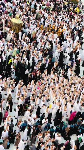 Wo sharay muhhbat jaha mustafa hay woe ghar banana ko dell chata ha #viral #my #accanut #sukoonmakkah #foryoupage 🕋🕋🤲