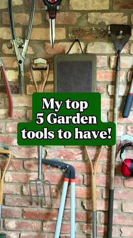 My top 5 garden tools to have! I honestly couldn’t live without these when I am in my garden 🪴  If you are just starting out with gardening and don’t know what to get first, I highly recommend any of these and I guarantee that you will use them as much as I do! 🍃🍂 #yougarden #gardening #gardentok #gardentips #gardentools 