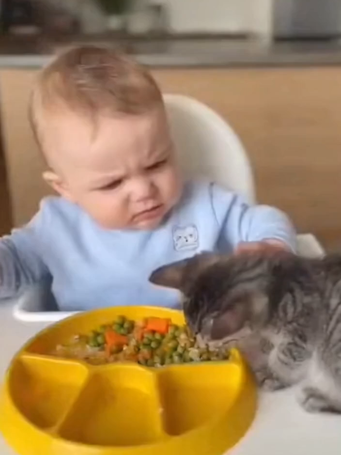 baby with kitten eating food #cat  #PetLove #cats #catsoftiktok #catlover #FunnyAnimals