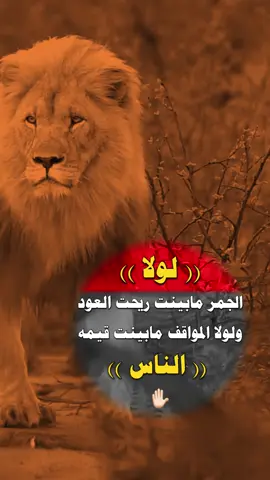 #كسبلور #جبراتت📮١6 #عبارات_الصقرالابي 