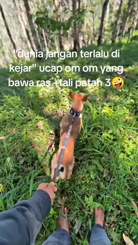 ngk menyala tuh ommm🔥 #fyppppppppp  #porbi50kota  #porbi_sumbar  #porbimarenten  #porbimarentensumbar 