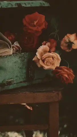عجاف القلوب لن ينفع معهم ود ، حتى لو زرعت لهم سبع سنين حب.