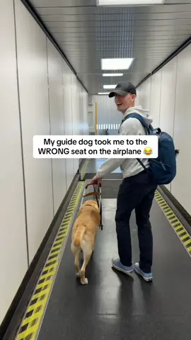 Mr Maple knows his own worth 😂 #guidedog #dogtok 