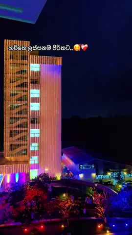 හරිතෙ ලස්සන පිරිතට....නෙහ්.. 🙈🥰💓 Viral post 2025 #creatorsearchinsights #nsbmgreenuniversity #viral2025 #srilankan_tik_tok🇱🇰 #fyp 