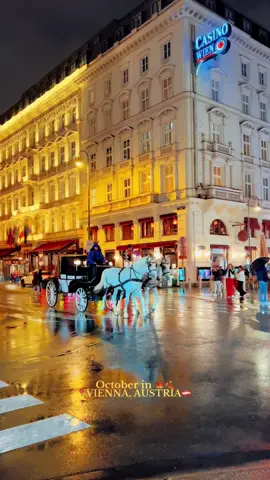 📍VIENNA, AUSTRIA🇦🇹 October 🍁 #vienna #wien #austria🇦🇹 #fyp #october 
