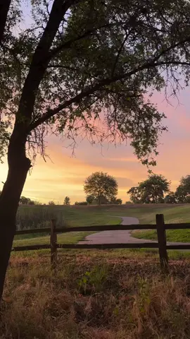 #Repost @ruvimnogaphoto  —— Almost forgot this was the whole point Follow for more @ruvimnogaphoto  Shot on iPhone  #nature #naturetherapy #forestbathing 