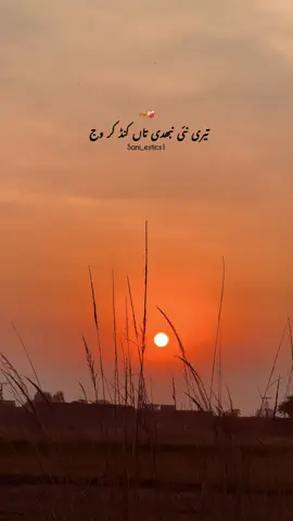🍂❤️‍🩹#پنڈاں_والے #sani_estics1 