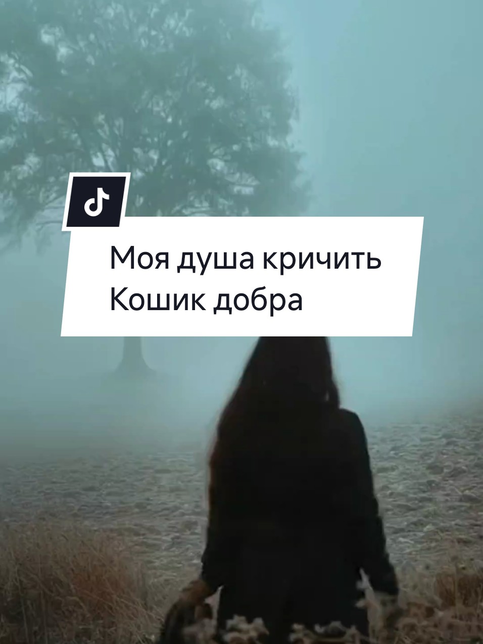 Моя душа кричить@Кошик Добра. #хітиукраїни #українськіпісні #українськамузика 