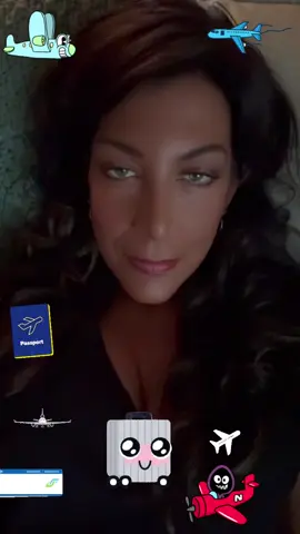 #flying #planes #travel #logic #stability 