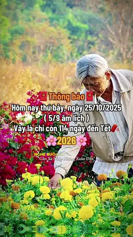 Cảm giác nôn nao nó lại về… Tết tới thật rồi 🌸🧧🧧#tetnguyendan2026🧧🎆🧨 #CapCut #fyp #xuhuong #thinhhanh 