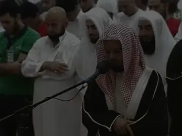 أبو بكر الشاطري - سورة النساء