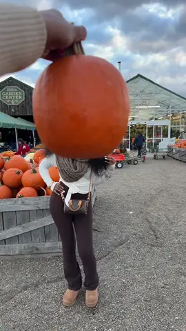 #pumpkinpatch🧡 #falltok #pumpkintrend #fyp #fy 🎃