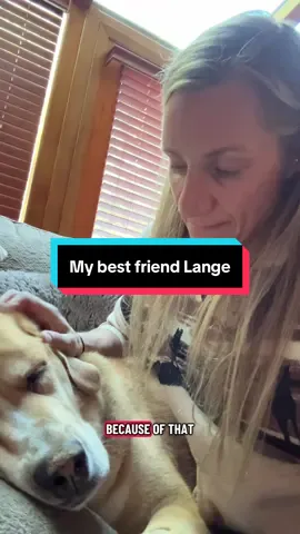 My best friend Lange.  Cancer sucks. Lange is getting his Christmas tree in October. 🎄 We caught it early. Brought him to the vet as he had an upset tummy. Still waiting on the test results from last week with the Internal Medicine doctor to see what his treatment plan will be. He’s overall a very healthy dog. He’s 11ish and has been the best boy. He absolutely deserves the world.  #cancersucks #dogcancer #fcancer #dogs #christmastree 