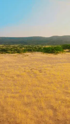 وس دی یادونہ افسانے خکاری 💔💔💖 𝒯𝒽𝑒𝓇𝑒 𝒾𝓈 𝓃𝑜𝓉𝒽𝒾𝓃𝑔 𝓉𝑜 𝓈𝒶𝓎 𝒶𝒷𝑜𝓊𝓉 𝓎𝑜𝓊💔💖💔 #imrankhan #lovelykid #happy #growmyaccount 