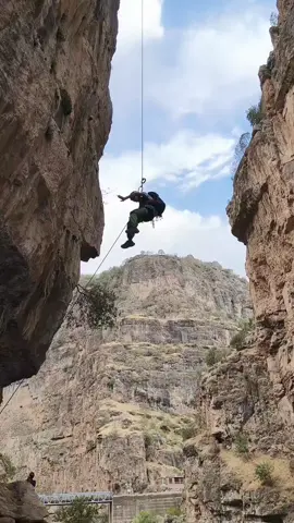 #tiktoklive #livehighlights 