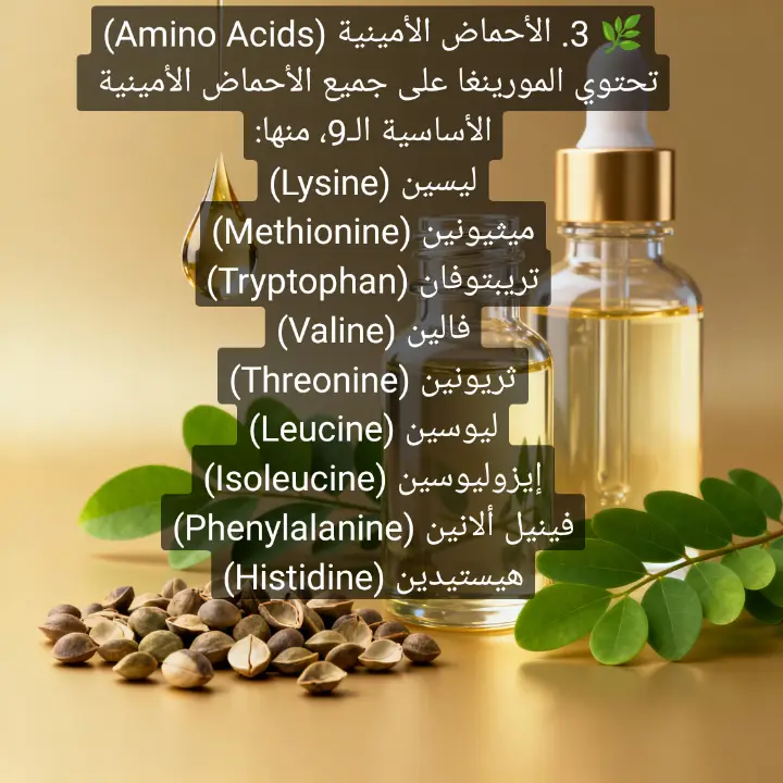 #المورينغا #الاحماض_الامينية #فوائد_المورينغا #الصحة_من_الطبيعة #عشبة_المعجزات #التغذية_الصحية#Moringa #MoringaAminoAcids #MoringaBenefits #Superfood #NaturalProtein #HealthyLif