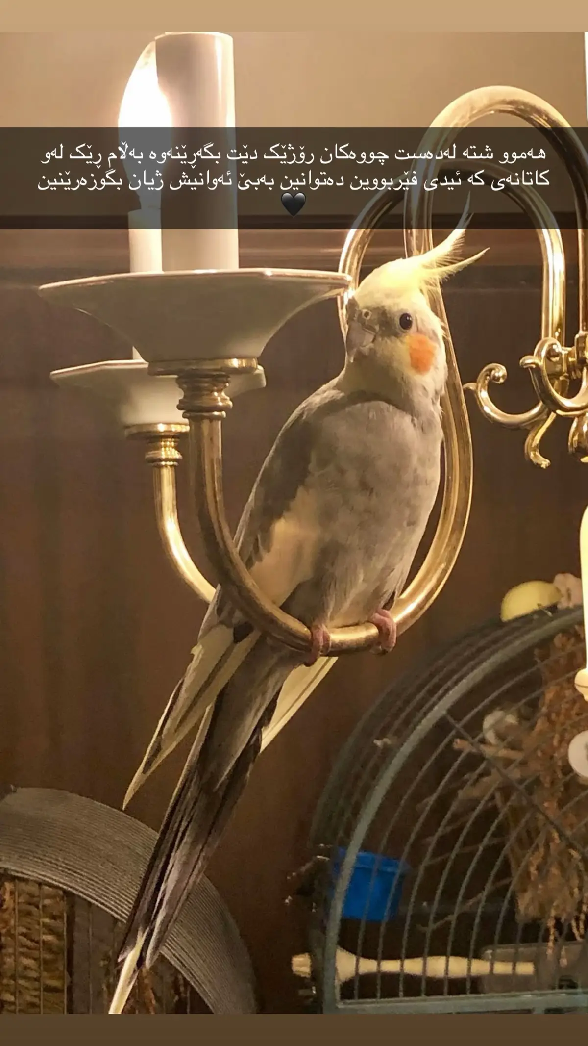 #کوردستان_سلێمانی_کەرکوک_هەولیر #fyp #foryou #هەولێر_سلێمانی_دەهۆک_ڕانیه_کەرکوک #ئەکتیڤبن🥀🖤ـہہـ٨ــہ 