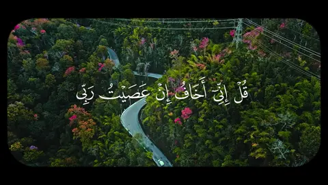 قُلۡ إِن‍ِّ‍یۤ أَخَافُ إِنۡ عَصَیۡتُ رَبِّی عَذَابَ یَوۡمٍ عَظ‍ِ‍ی‍‍مࣲ #quran #محمد_ايوب #quran_alkarim #قران_كريم #تلاوات 