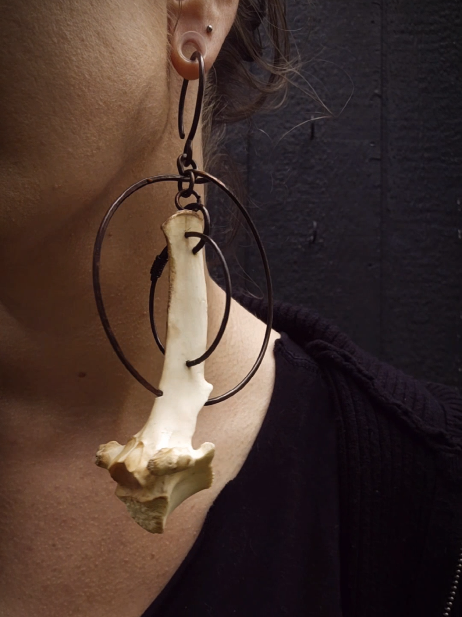 Alternate hoop hangers made with scavenged deer vertebrae.  . . . . . . . . . #bonejewelry #vultureculturejewelry #woodlandshrinejewelry #boneearrings   ##earhangers 