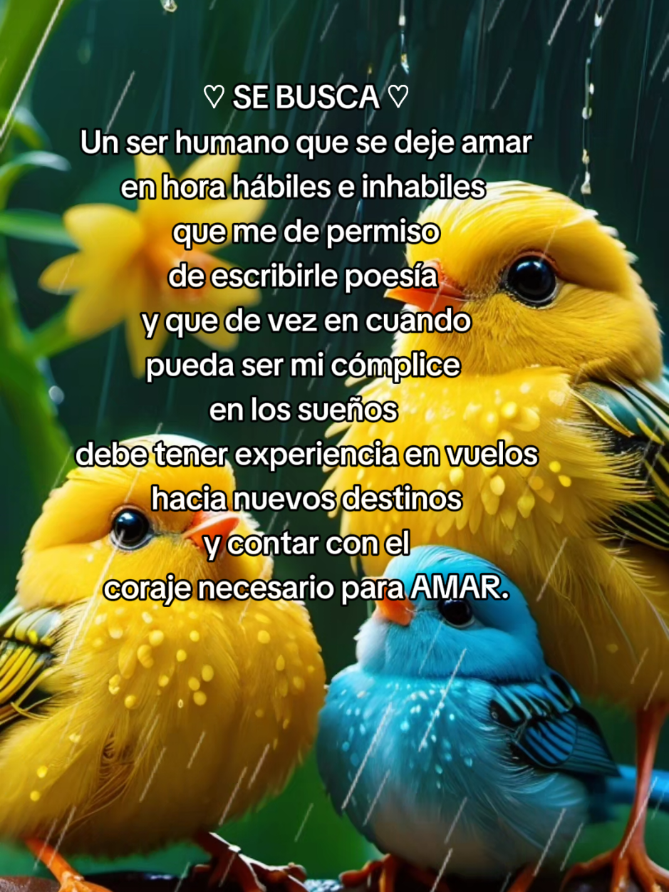 ....Corazon con el coraje necesario para amar#creatorsearchinsights #sebuscauncorazon #desafio #tiktokviral 