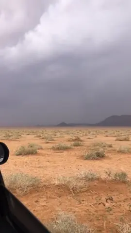 #قصيم_ضريه #الجرثمي #كسبلوررررررررررررررر #قصيم #مشاهير_تيك_توك 