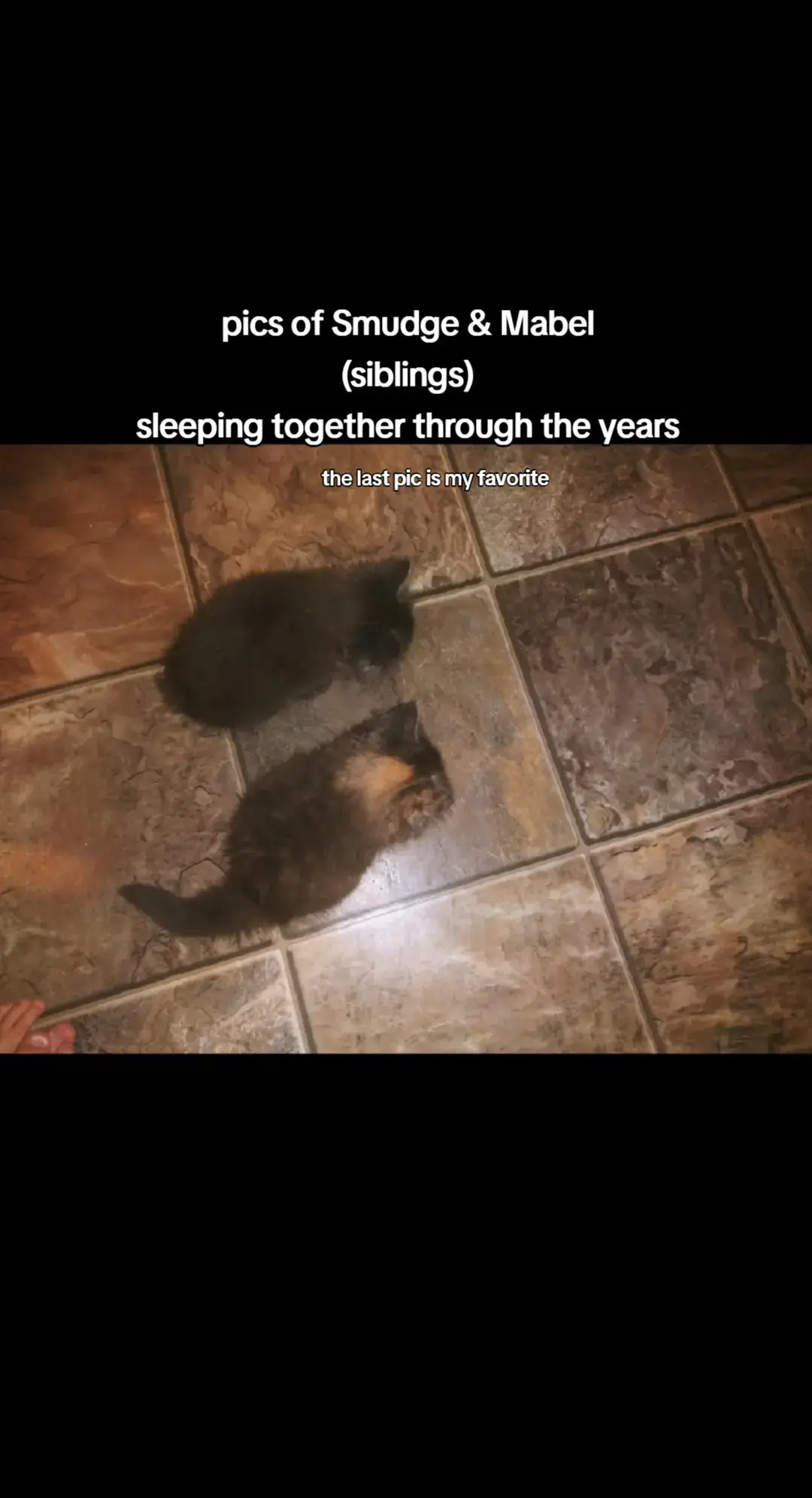 moments like these melt my heart