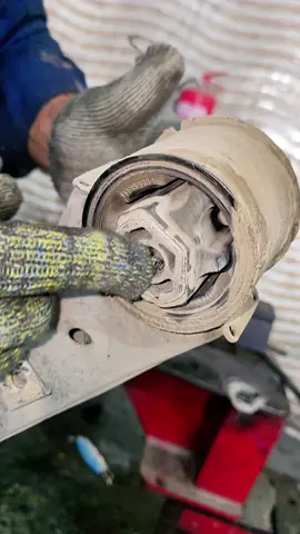 Rear wheel suspension bush noise #auto #mechanic 