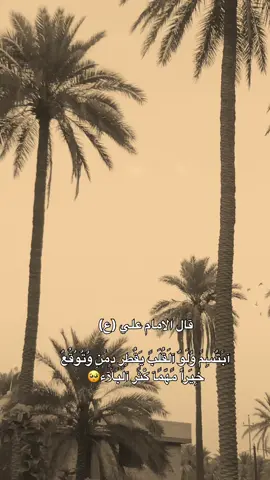 #شاركوا🤎👇  .  .  .  .  #مشاهير_تيك_توك #العراق🇮🇶 #متابعه #اكسبلور 