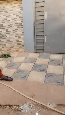 fassa dali sur nous 🤣🤣🤣🤣