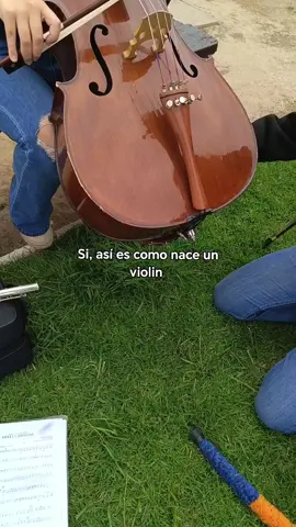 #fyp #chile 
